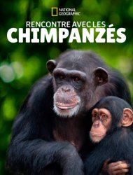 Rencontre avec les chimpanzés